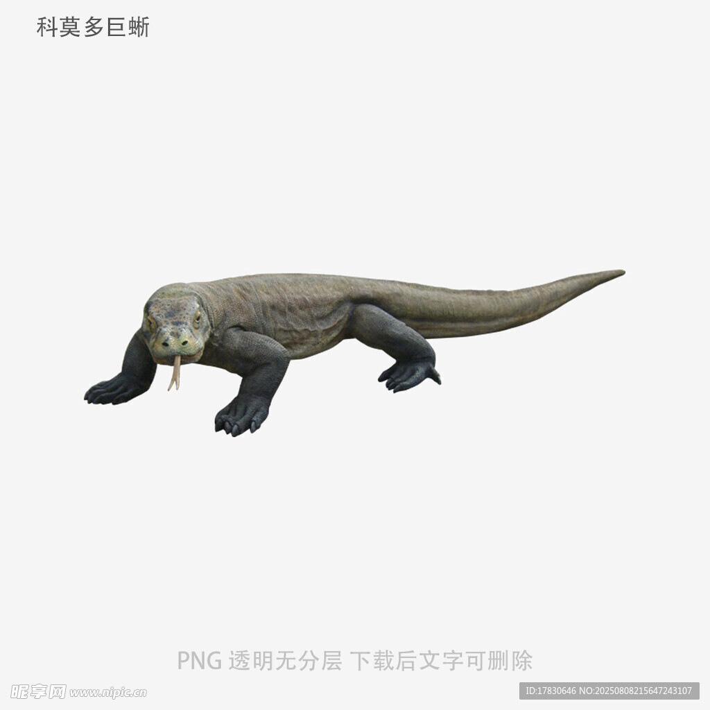 科莫多巨蜥