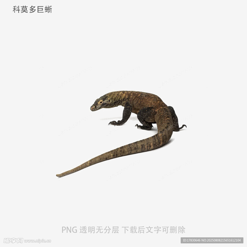 科莫多巨蜥