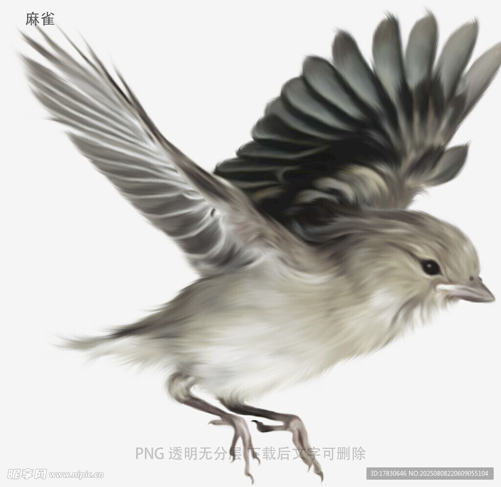 麻雀