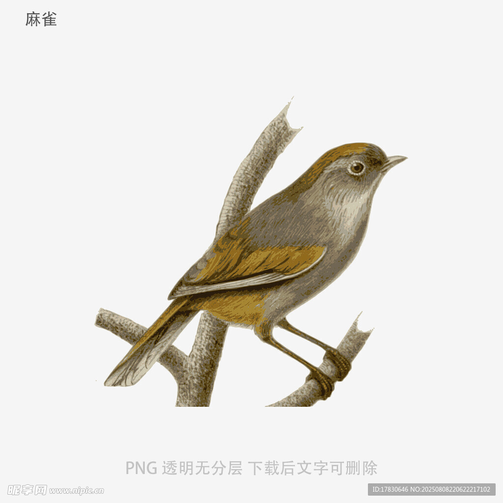 麻雀