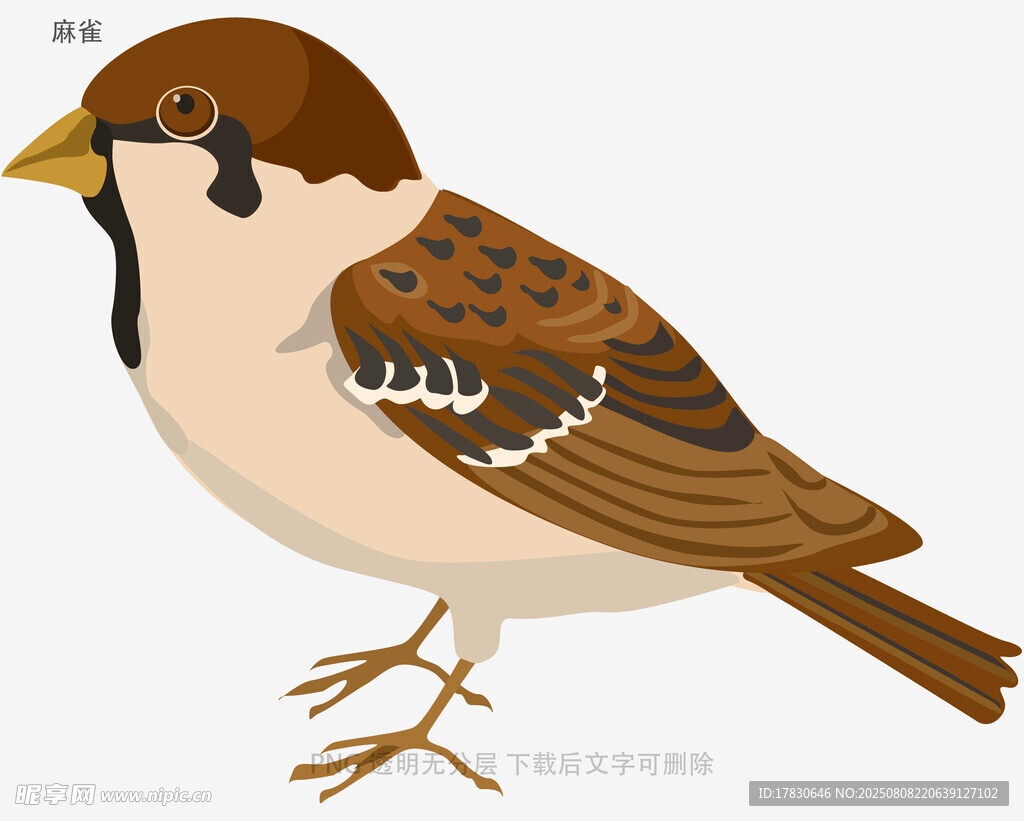 麻雀
