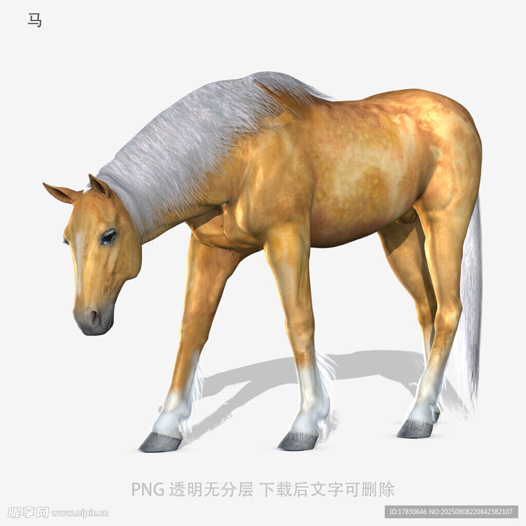 馬