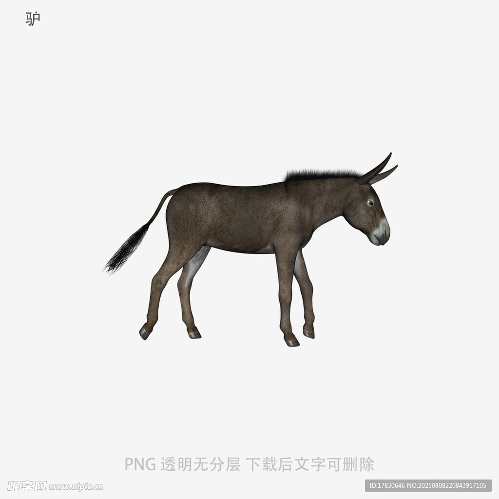 驢