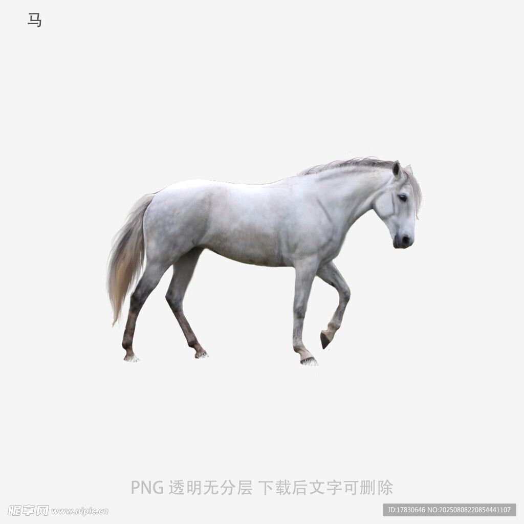 馬