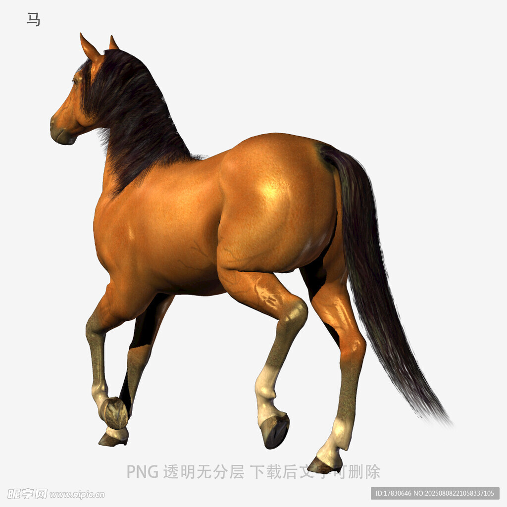 馬
