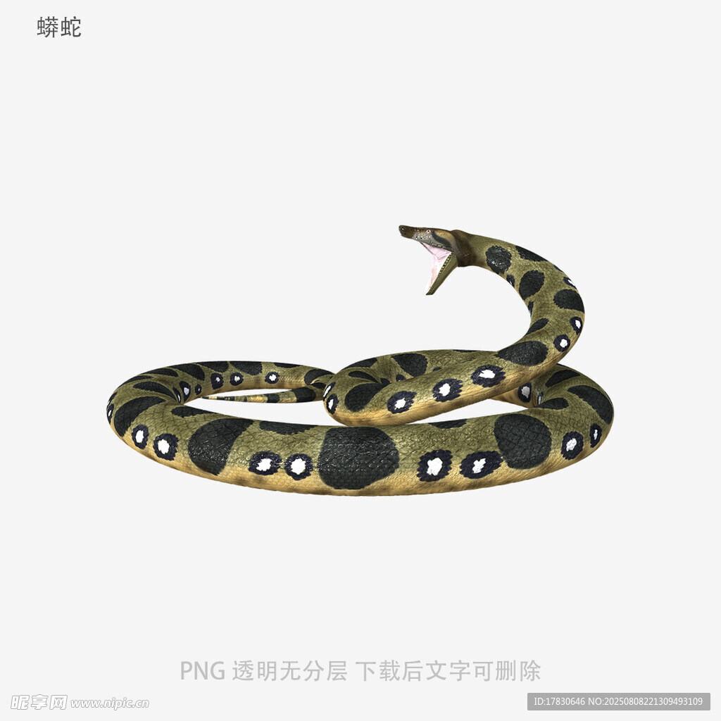 蟒蛇