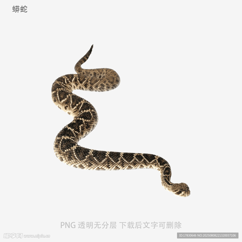 蟒蛇