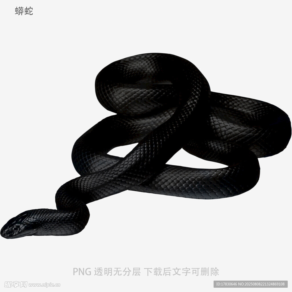 蟒蛇