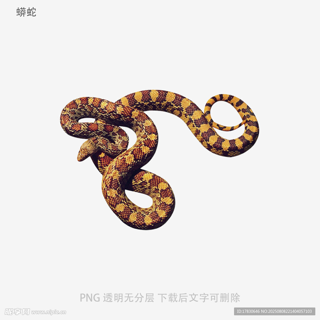 蟒蛇