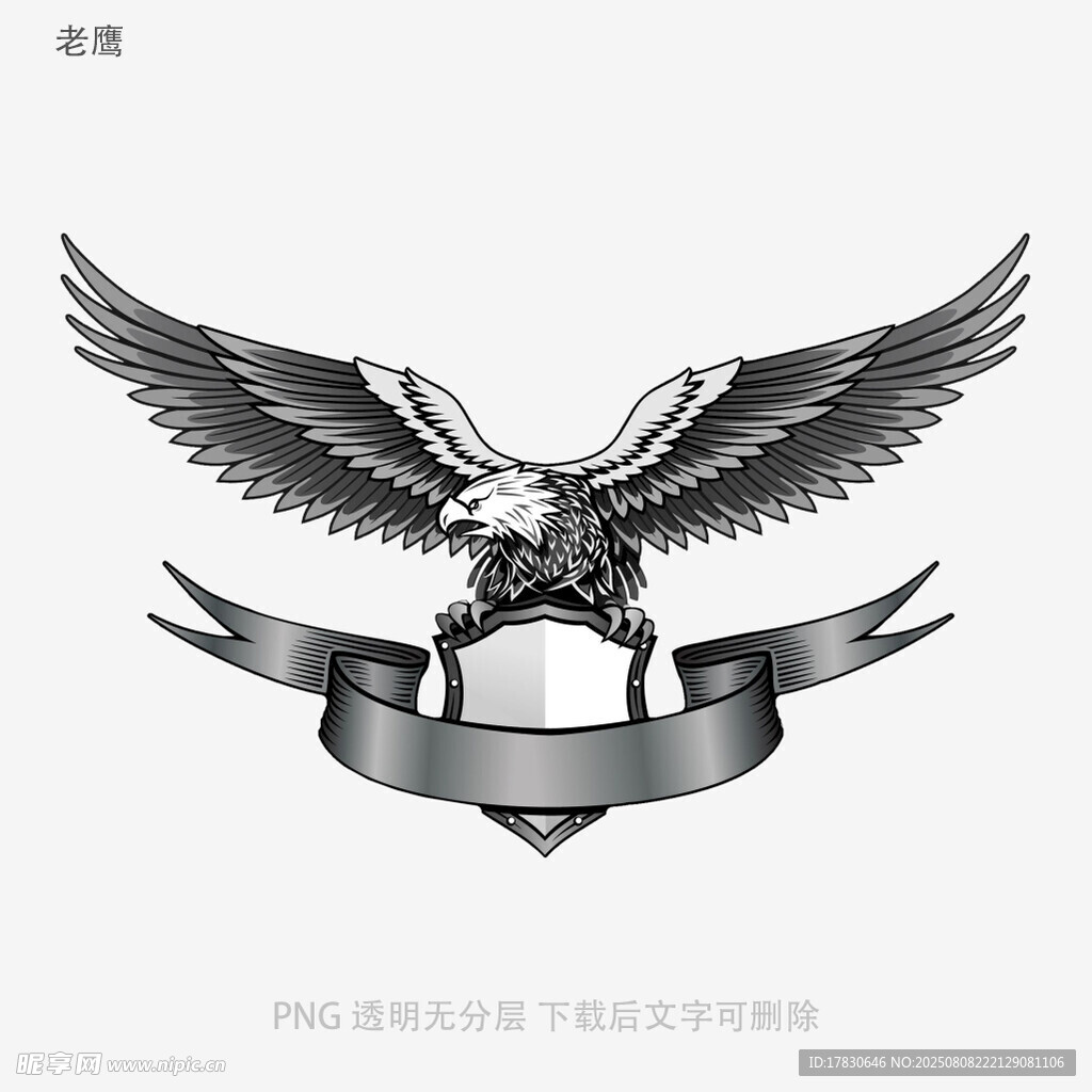 老鷹