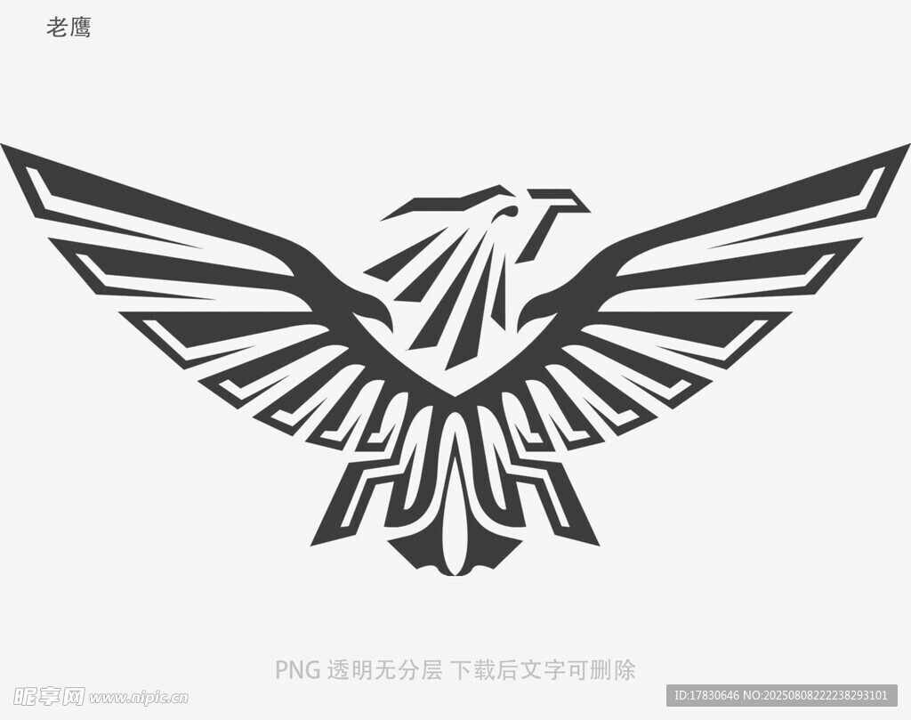 老鷹