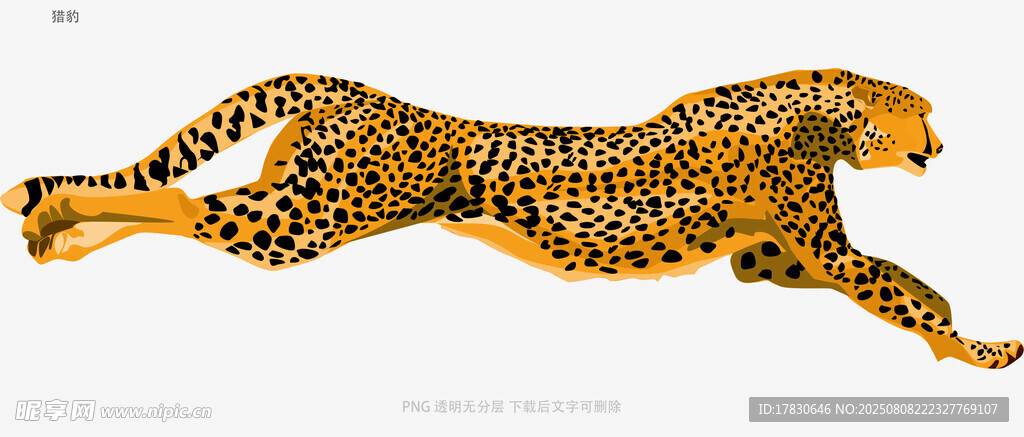 獵豹