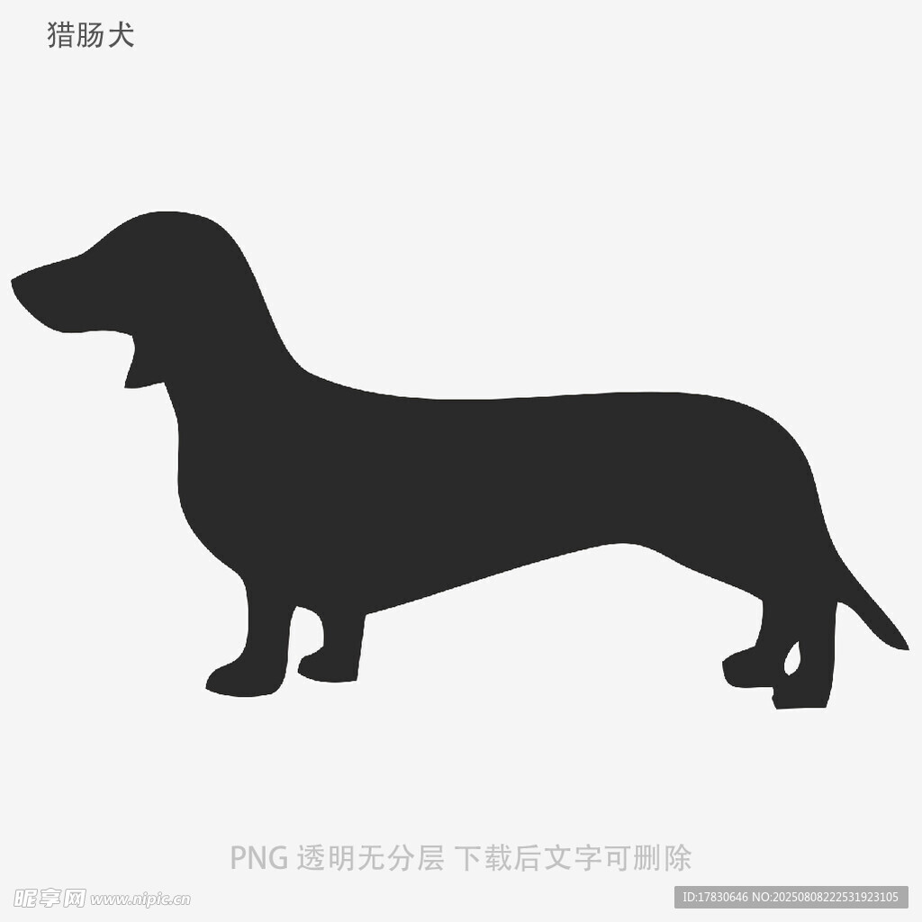 獵腸犬