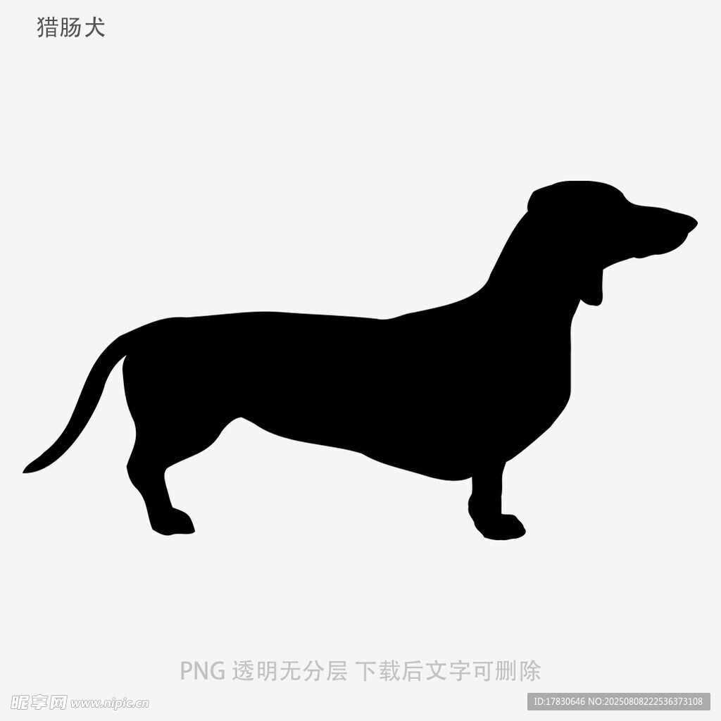 獵腸犬
