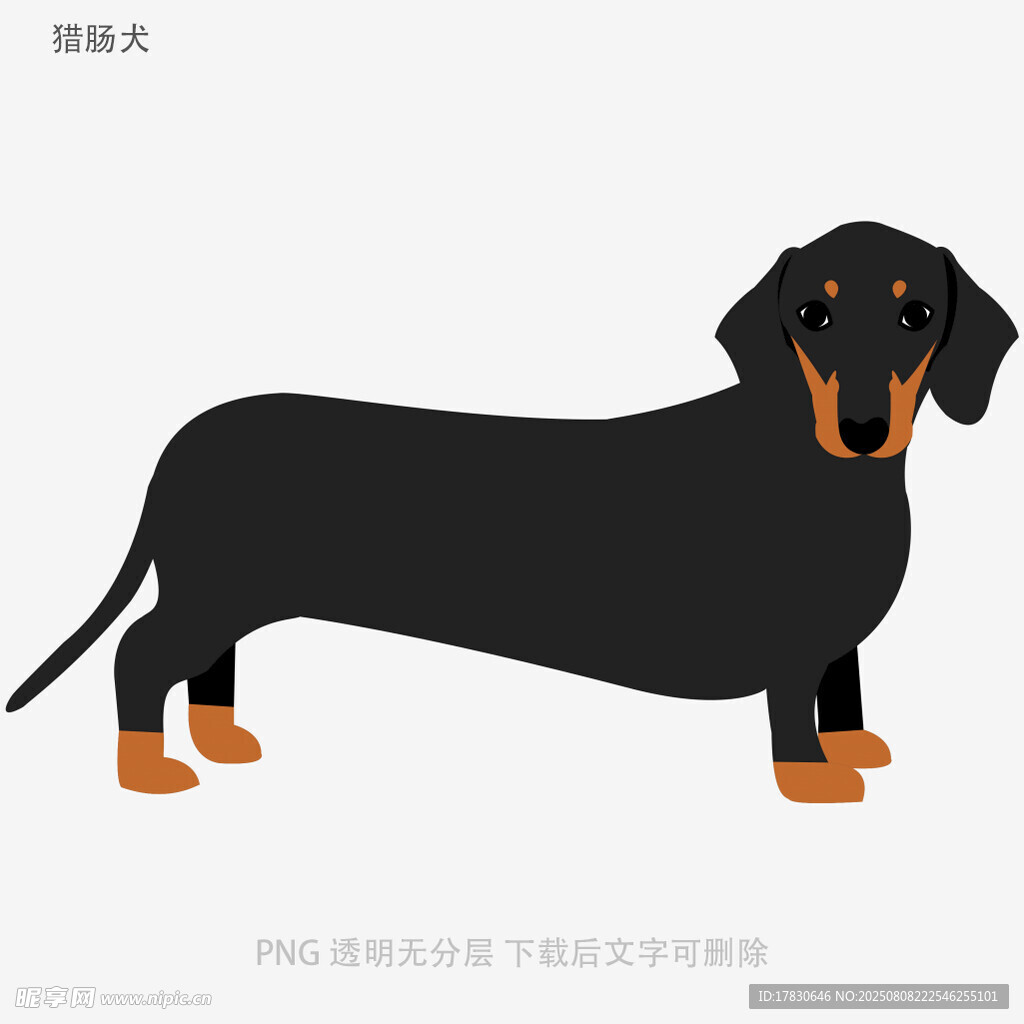獵腸犬