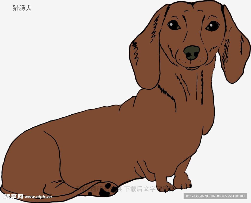 獵腸犬