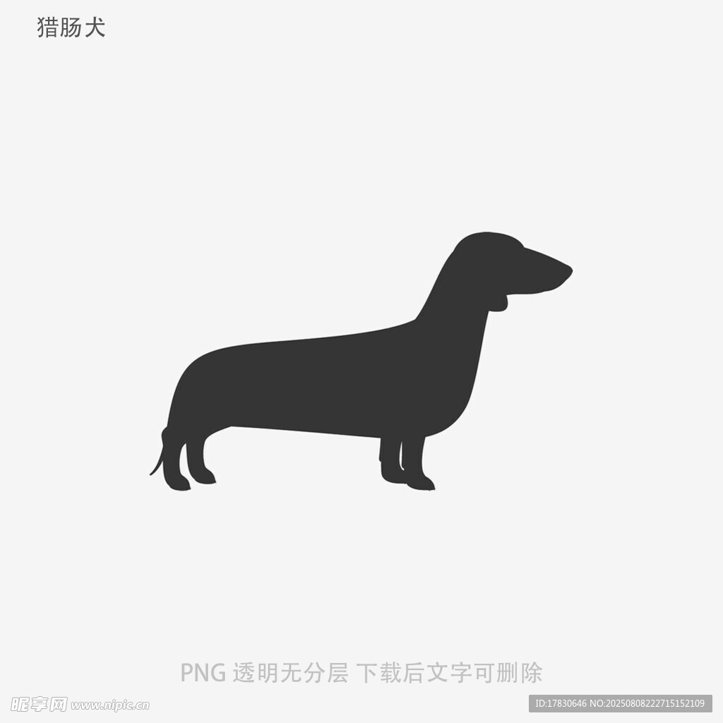 獵腸犬