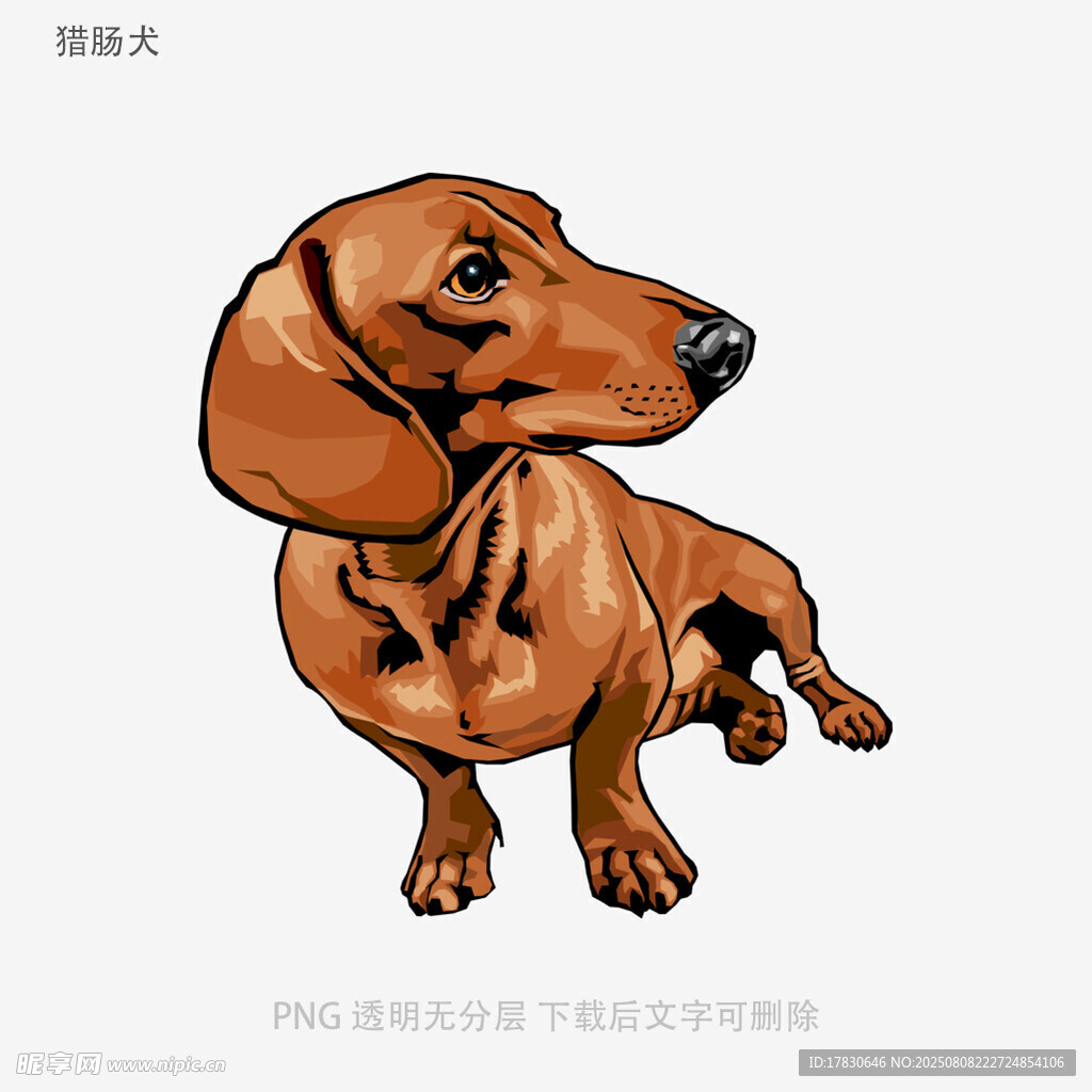 獵腸犬