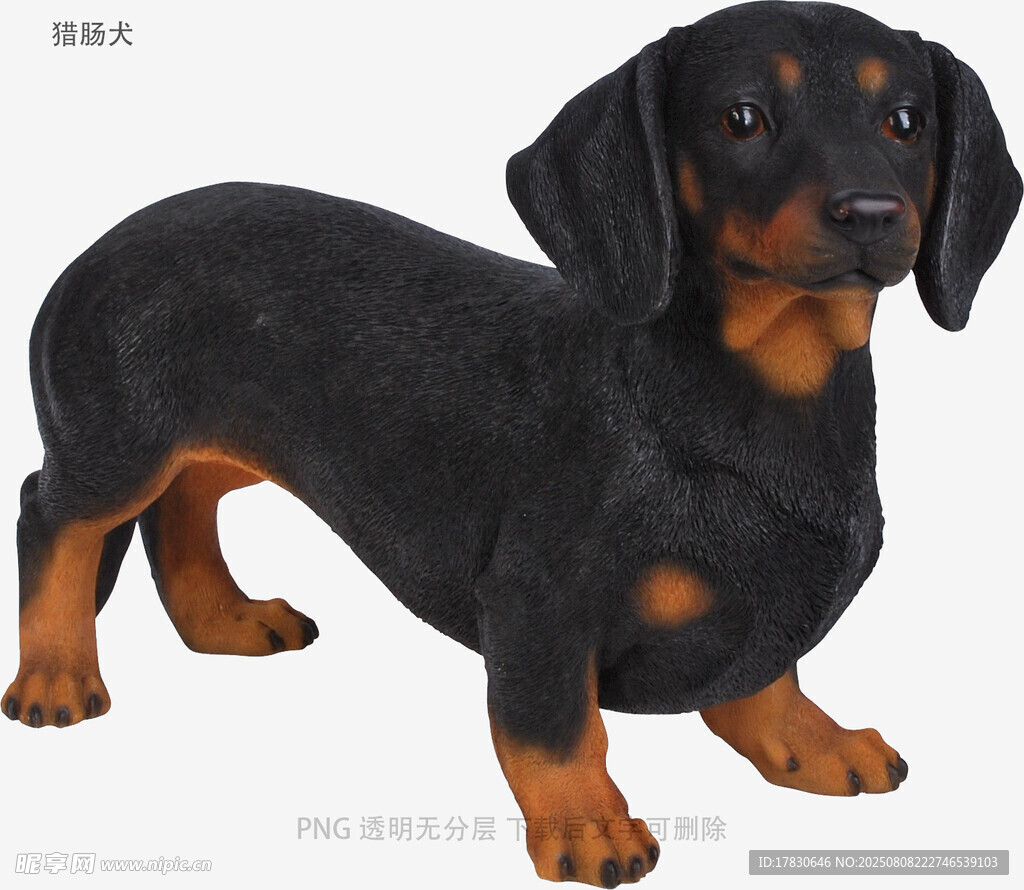 獵腸犬