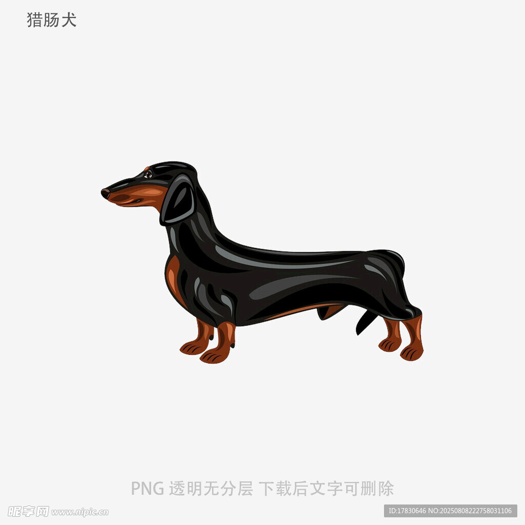 獵腸犬