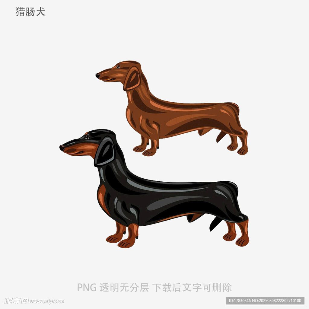 獵腸犬
