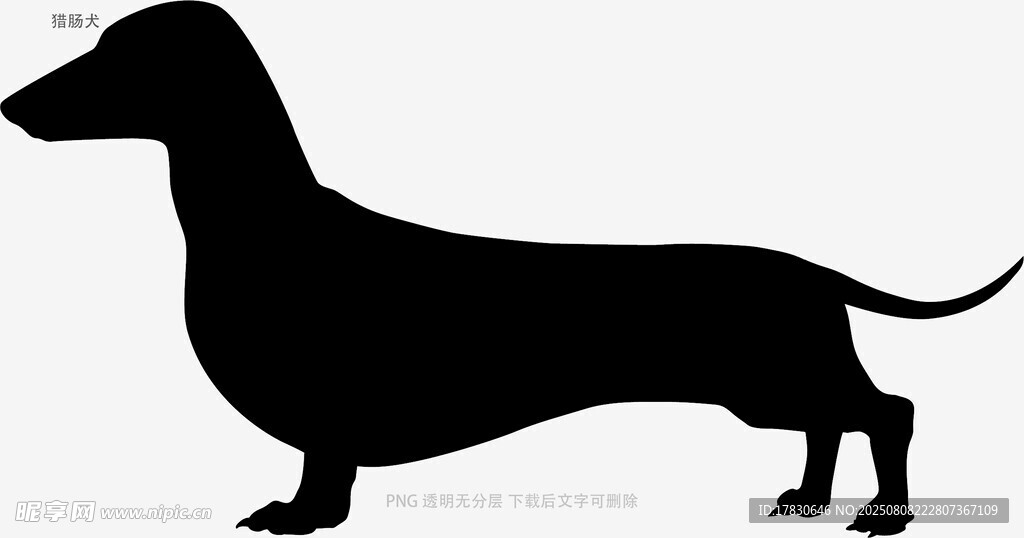 獵腸犬