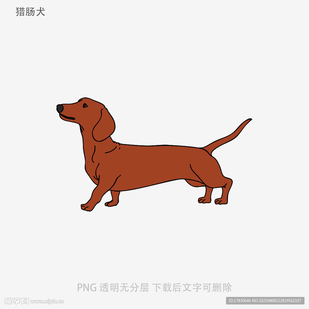 獵腸犬