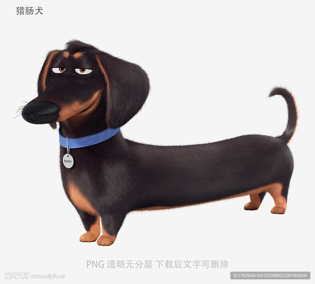 獵腸犬