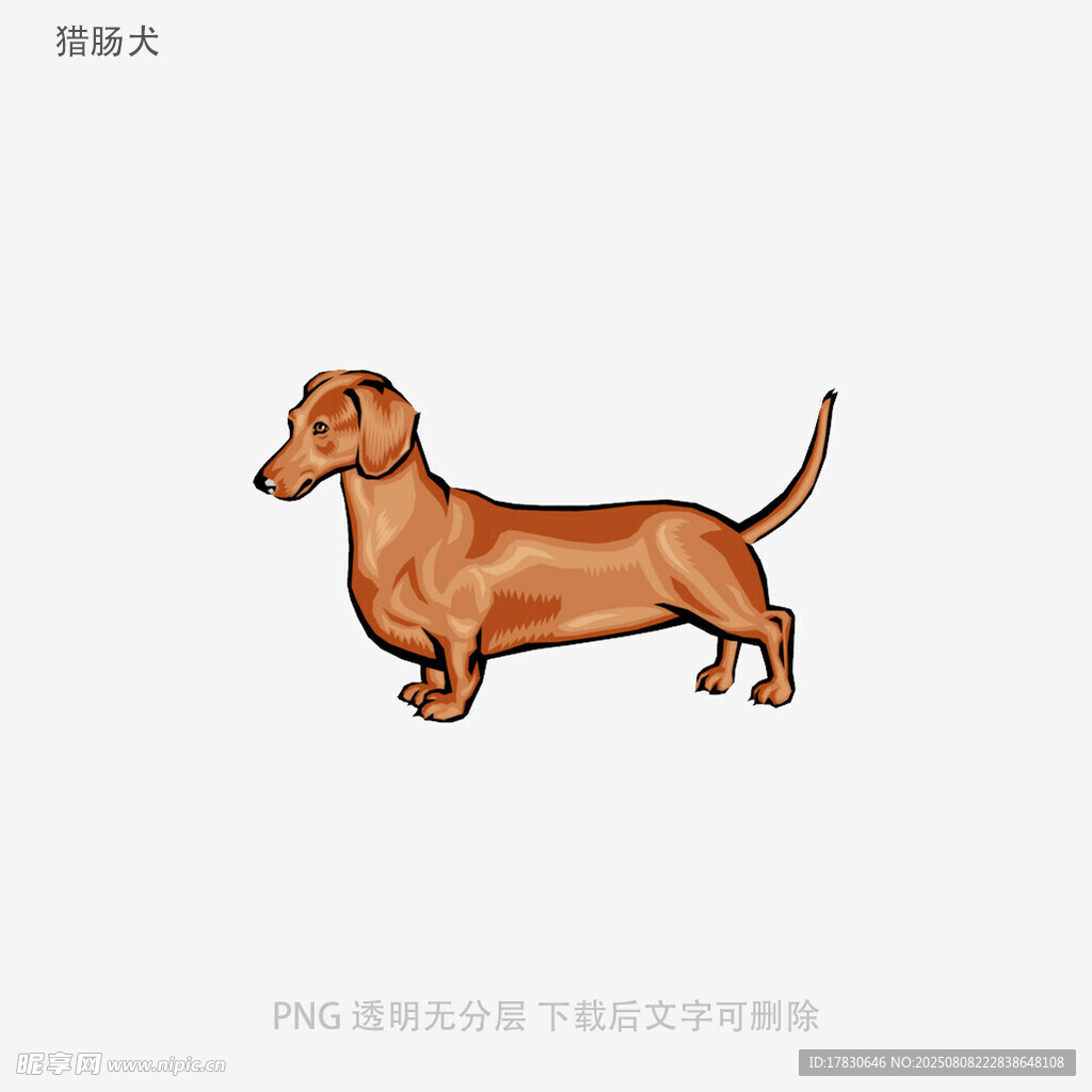 獵腸犬