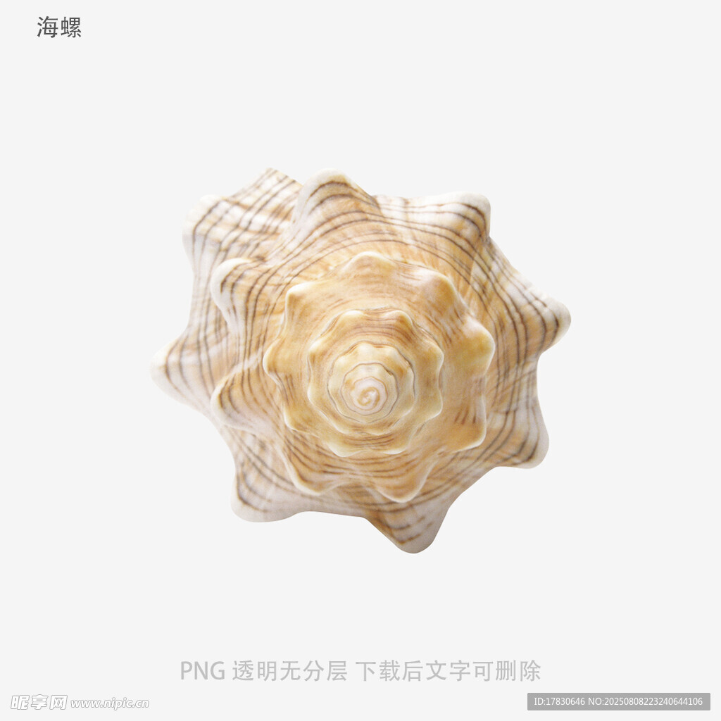 海螺