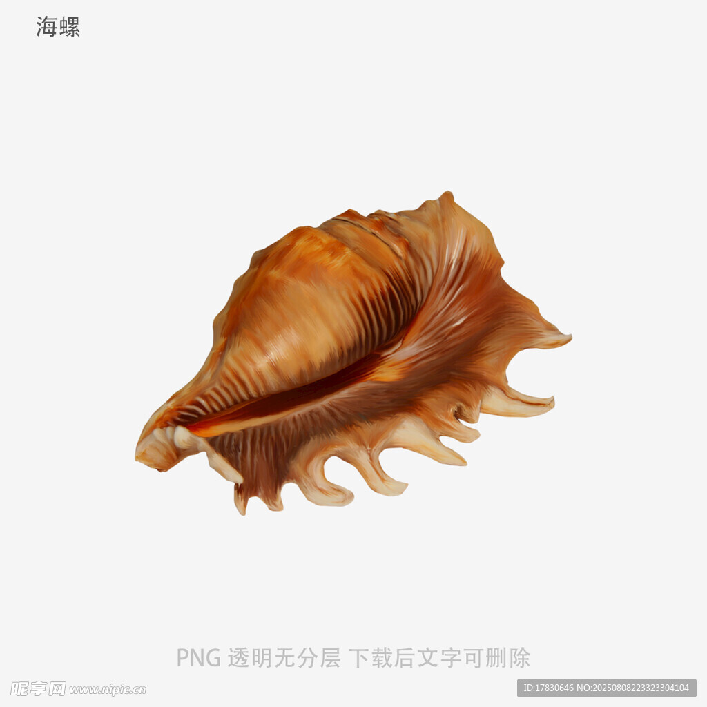 海螺