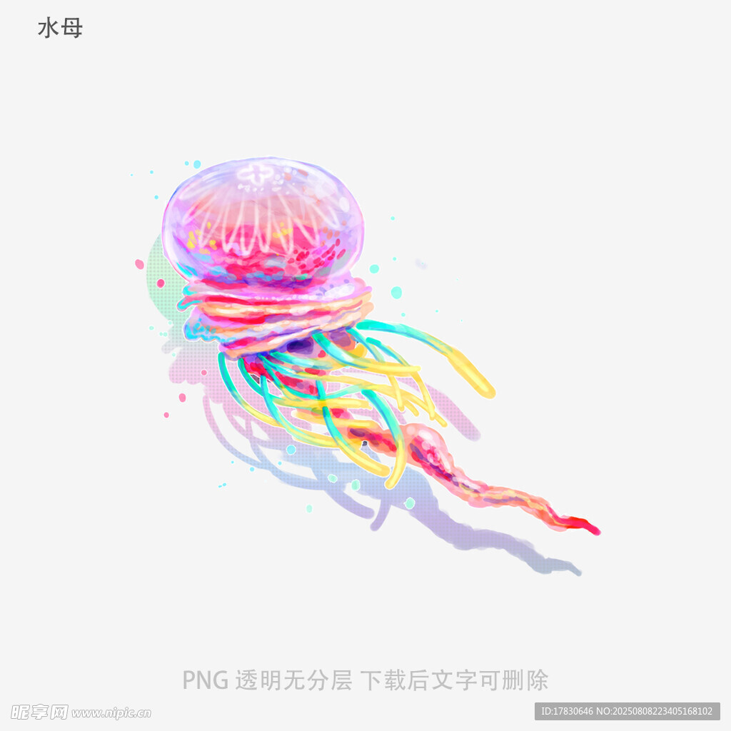 水母