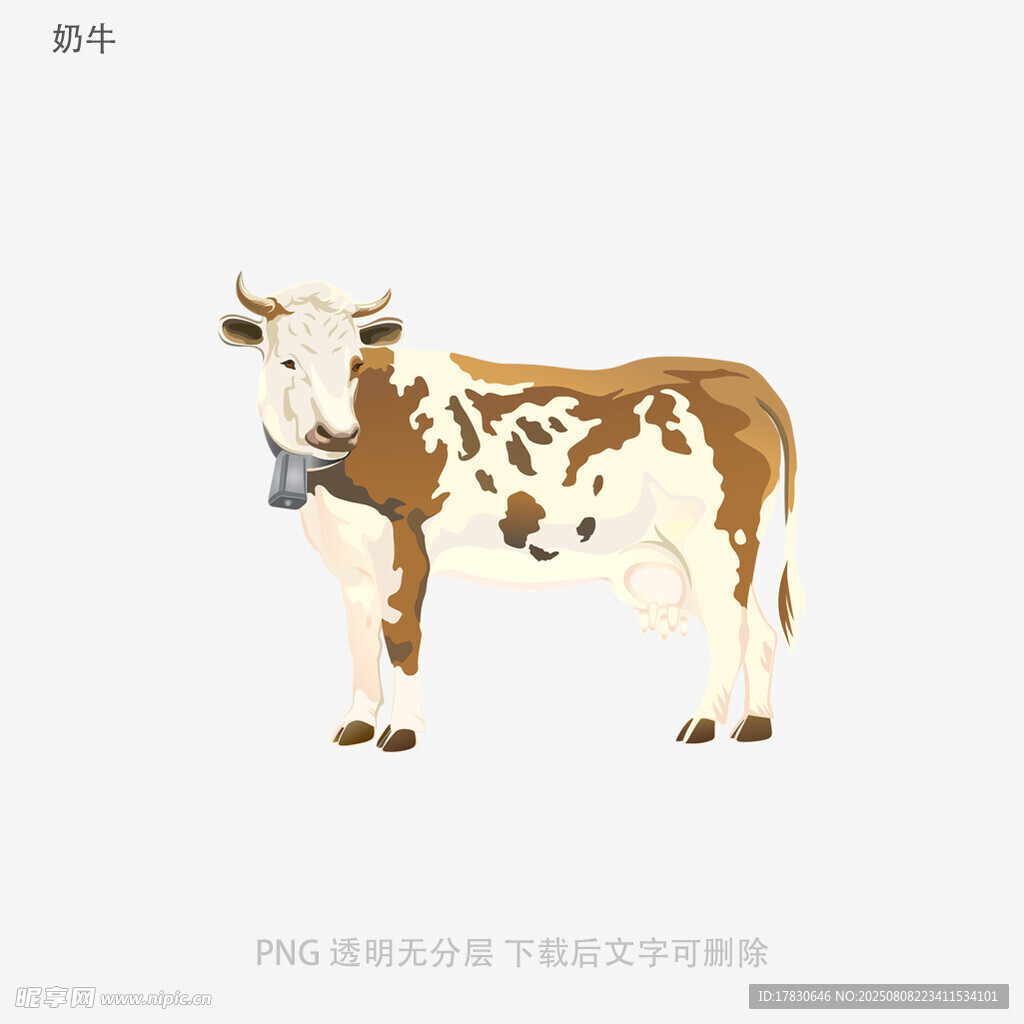 奶牛