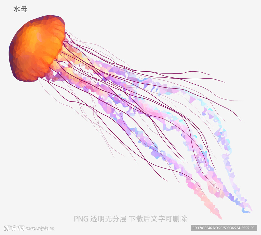 水母