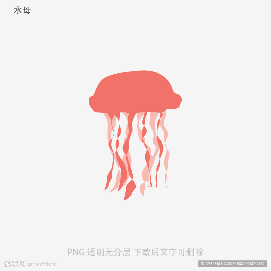 水母