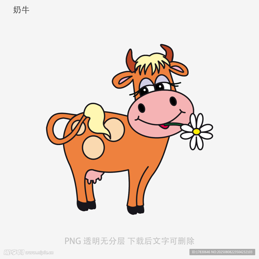 奶牛