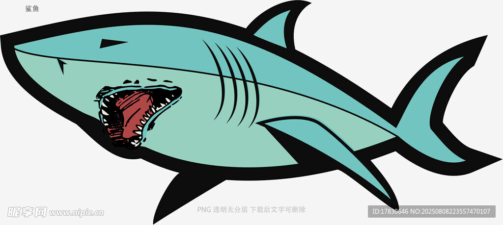 鯊魚