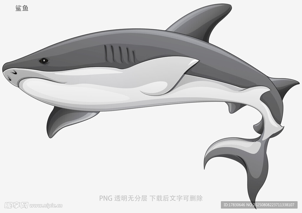鯊魚