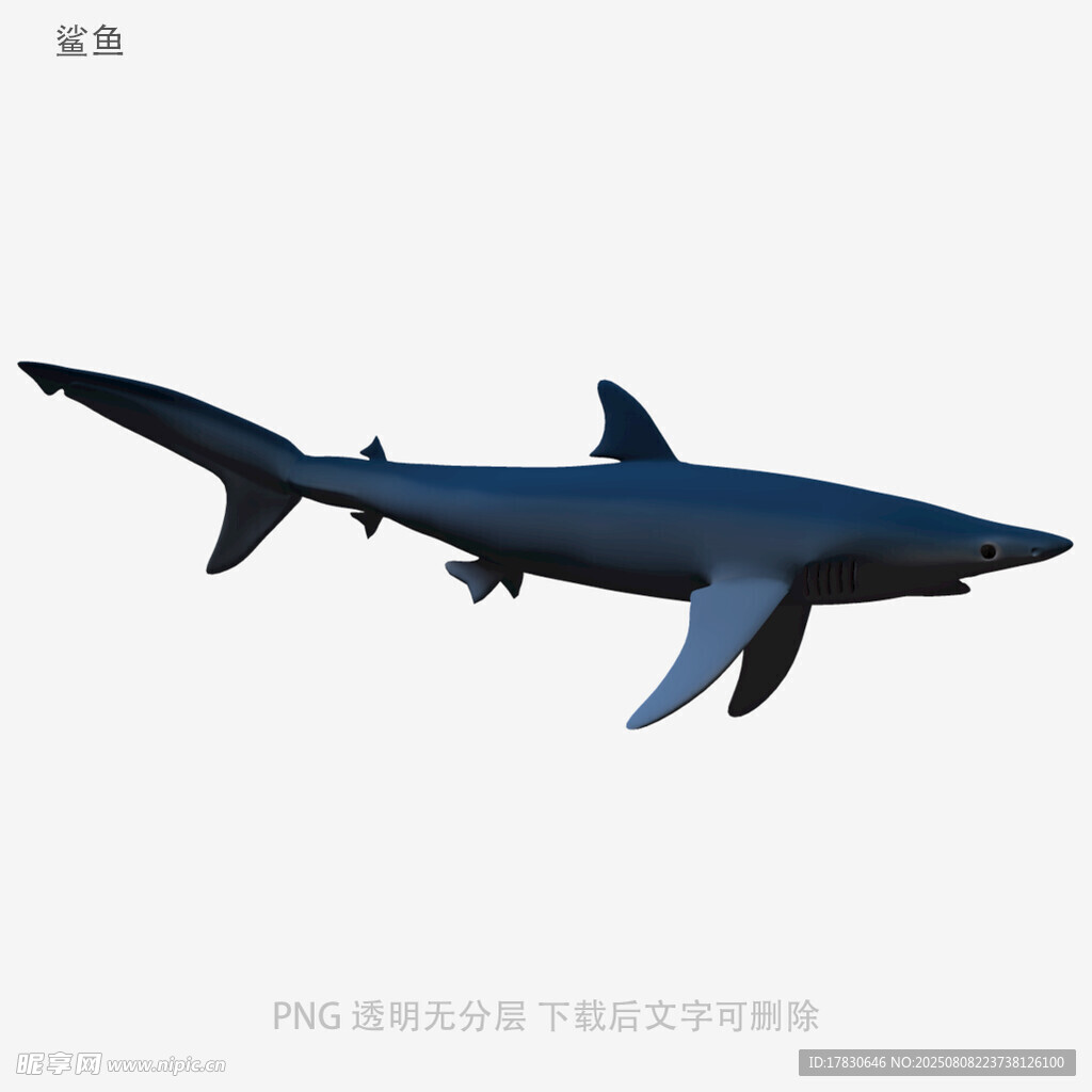 鯊魚(yú)