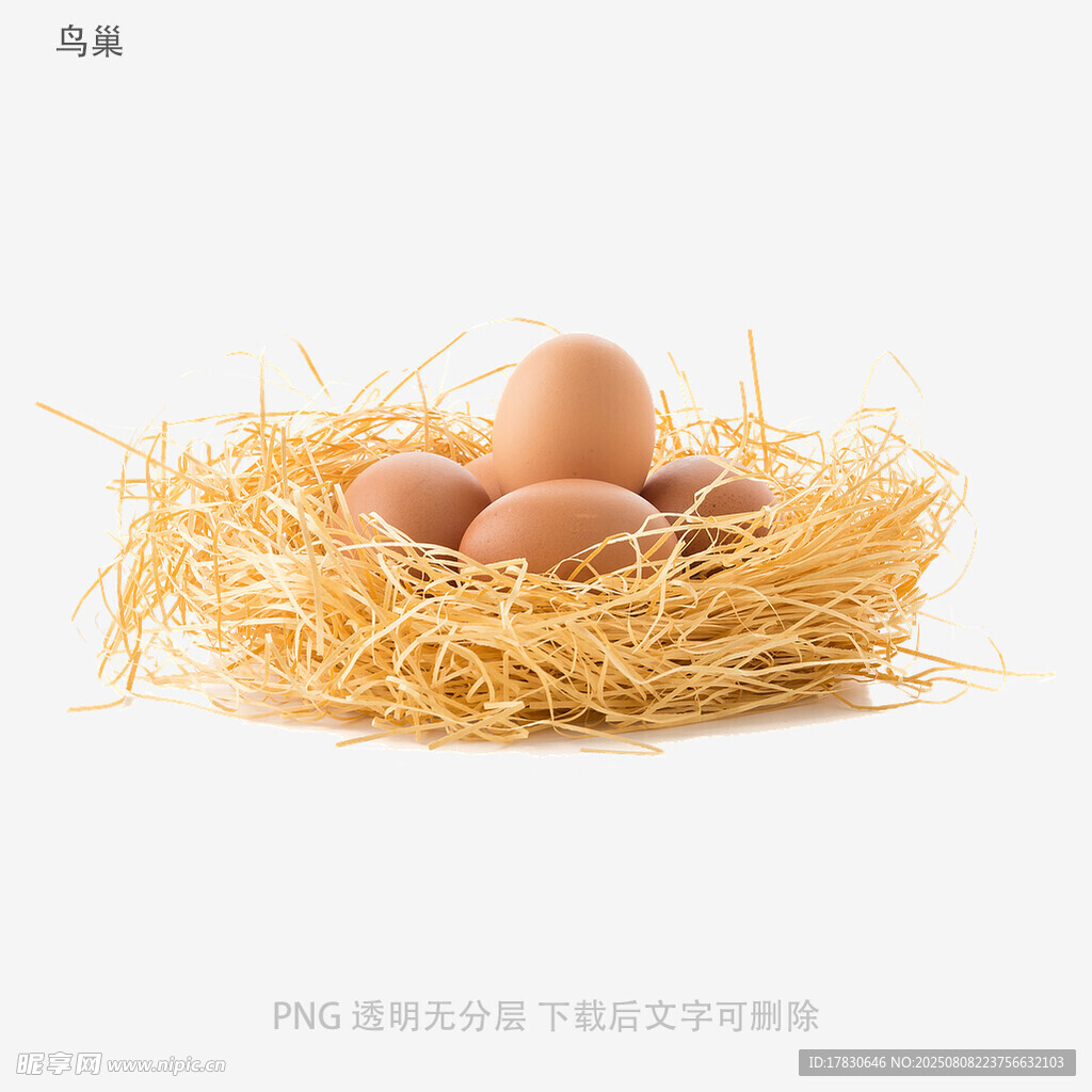 鳥巢