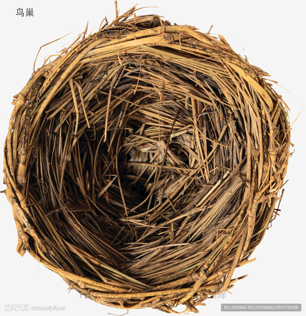 鳥巢