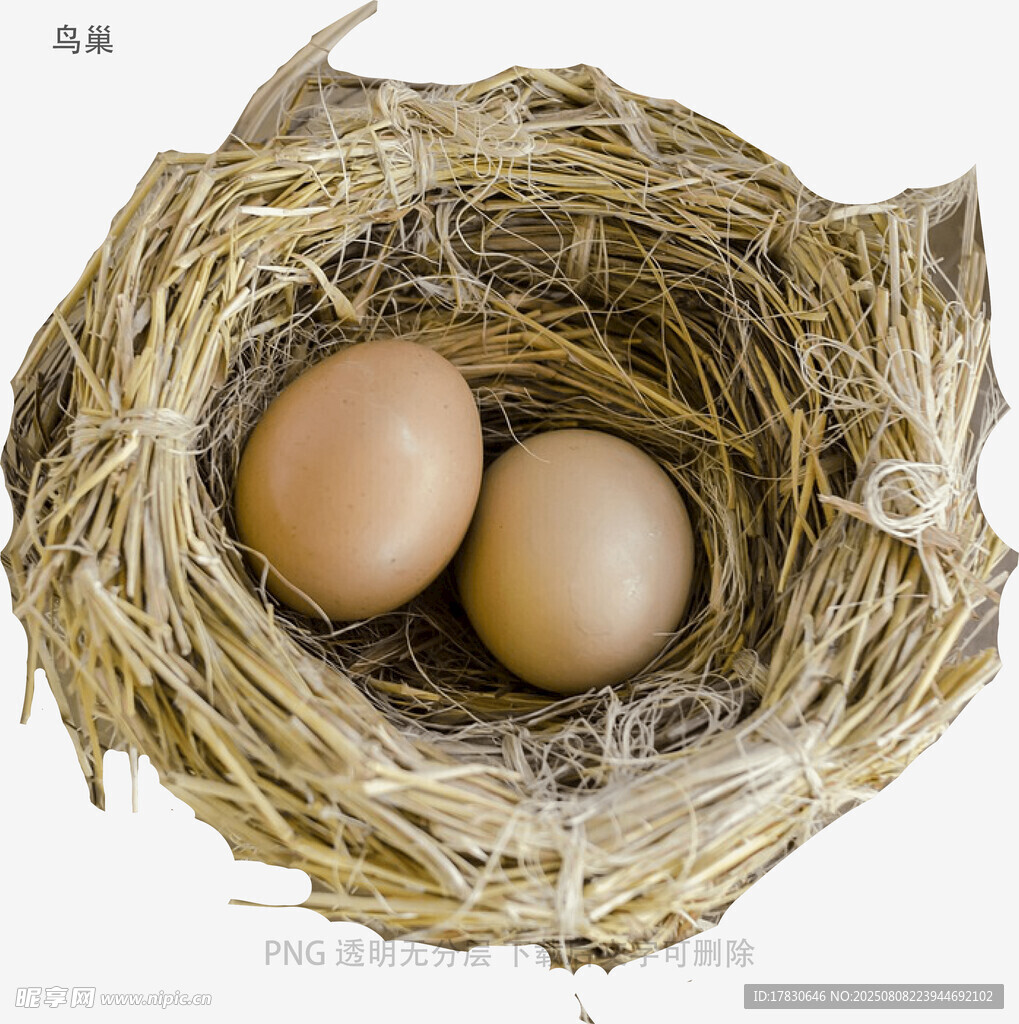 鳥巢