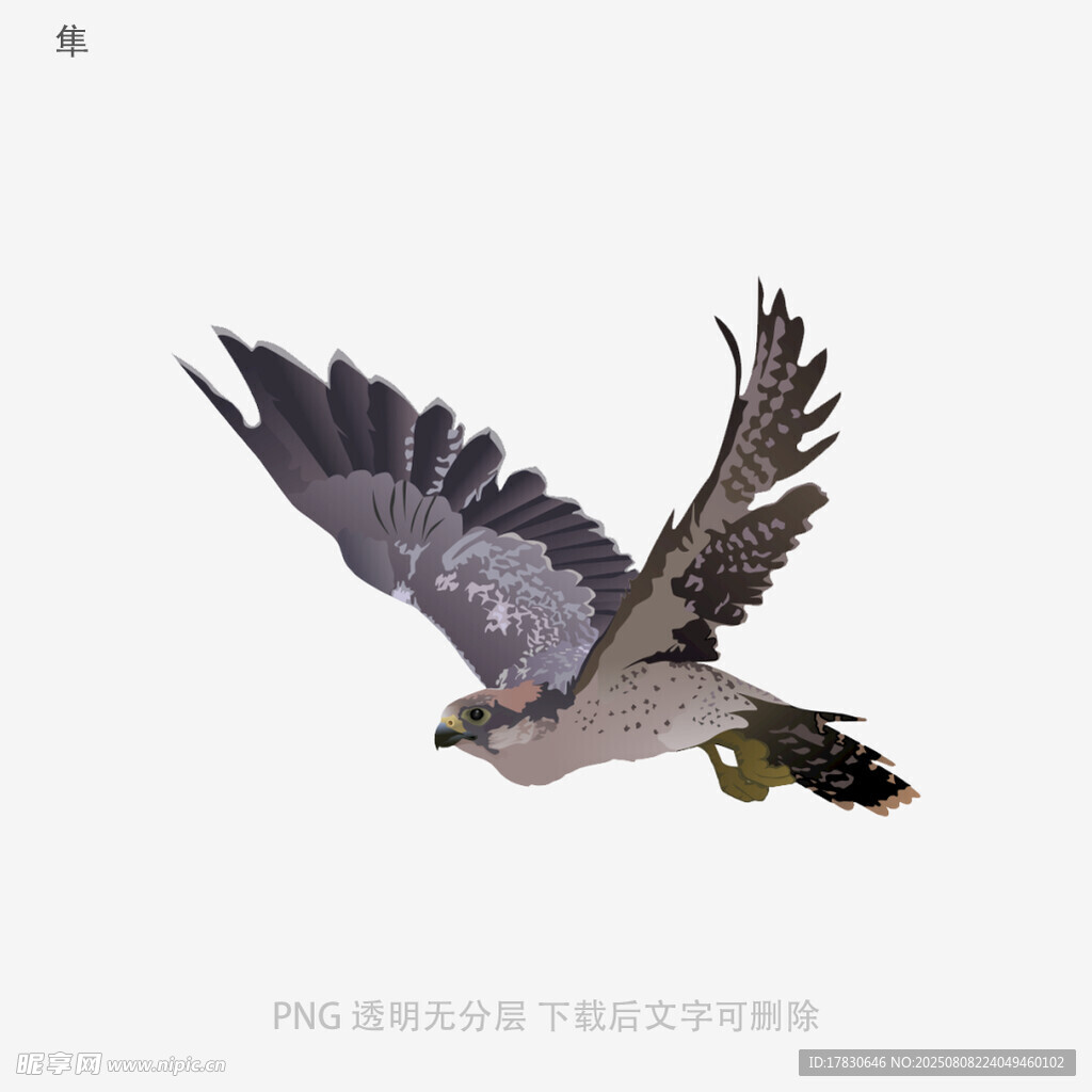 隼