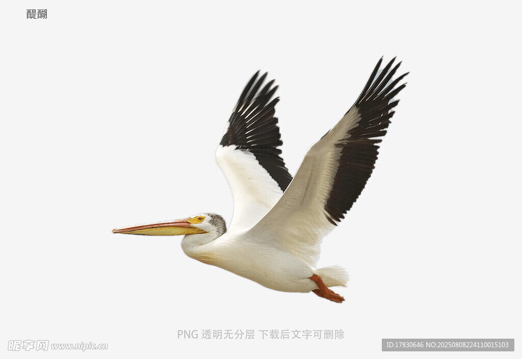 醍醐