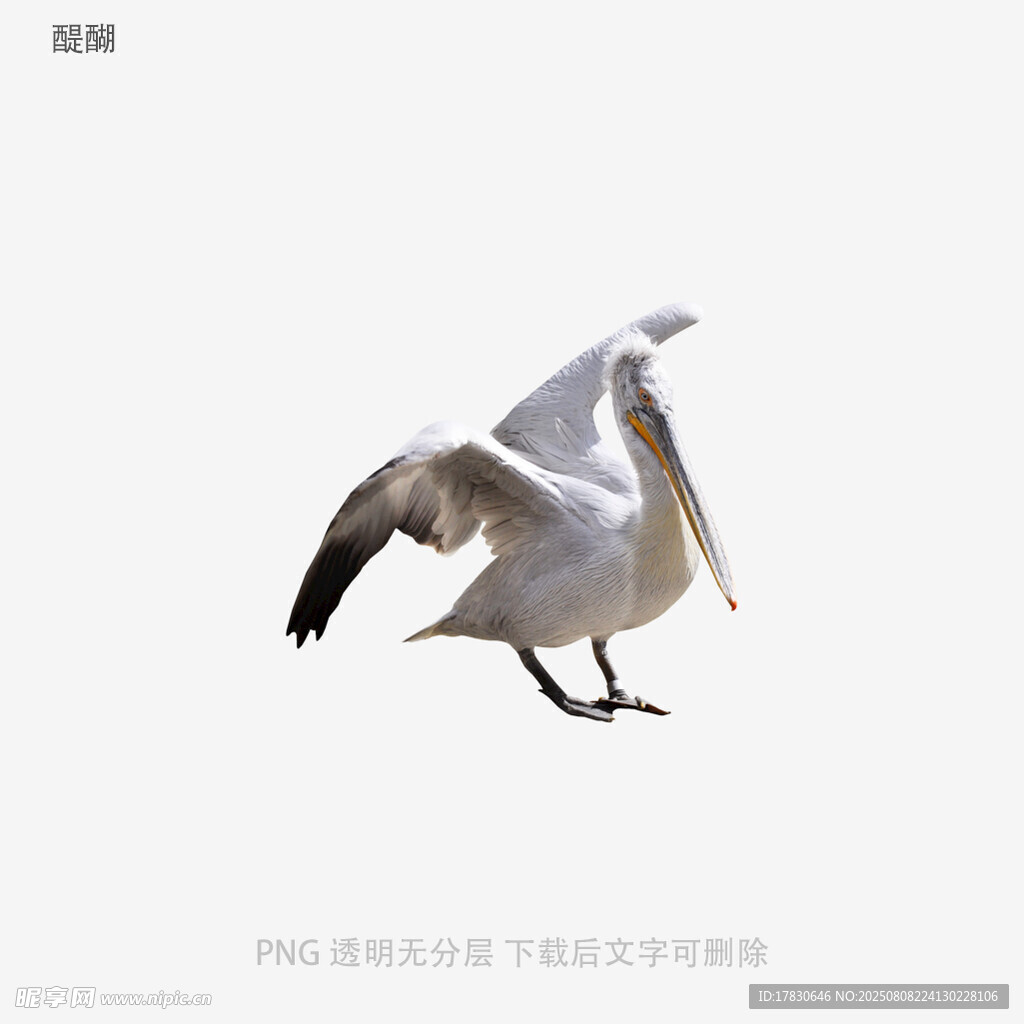 醍醐
