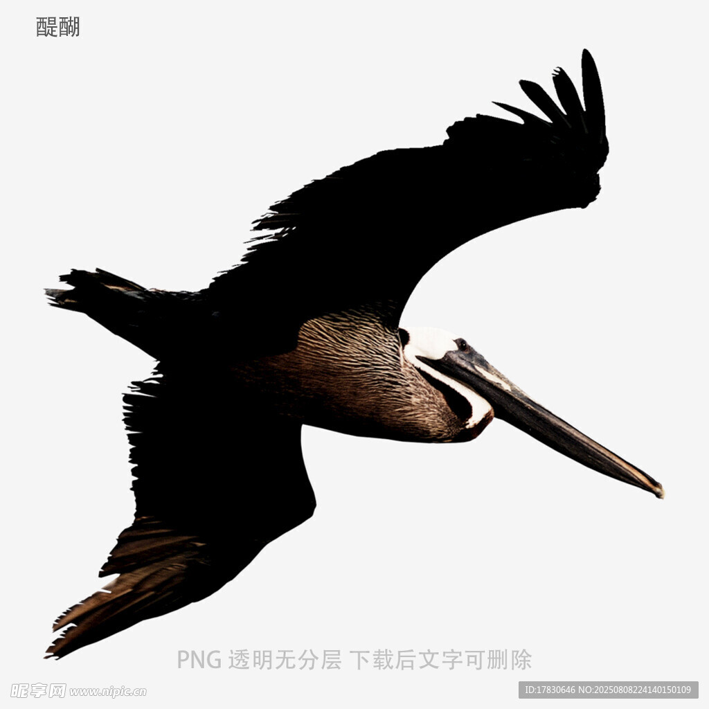 醍醐