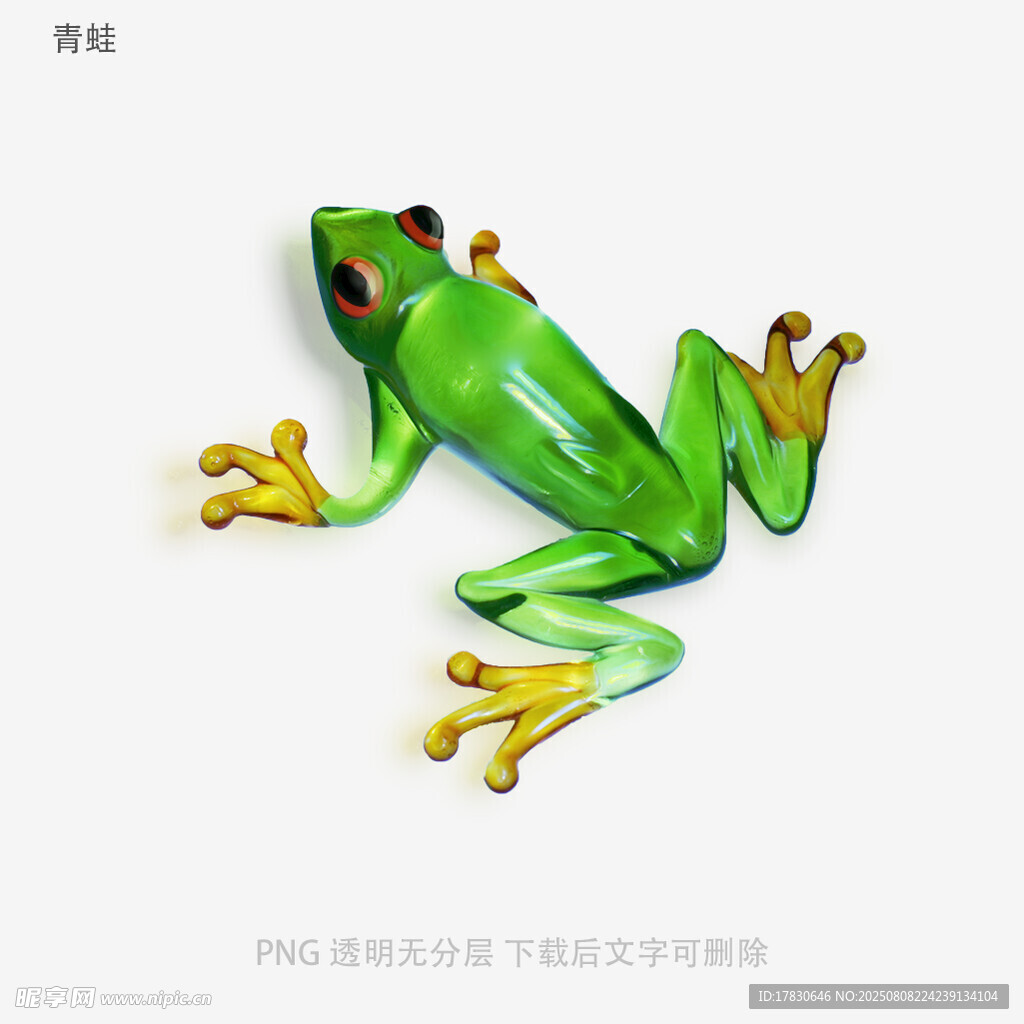 青蛙