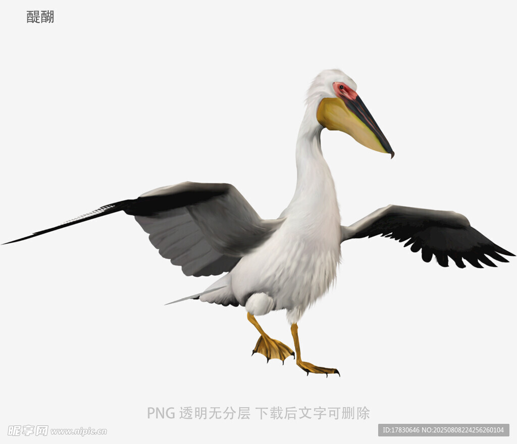 醍醐