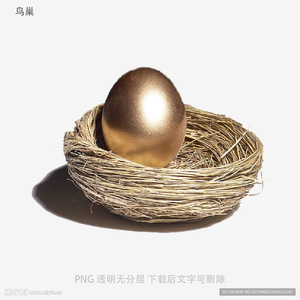 鳥(niǎo)巢