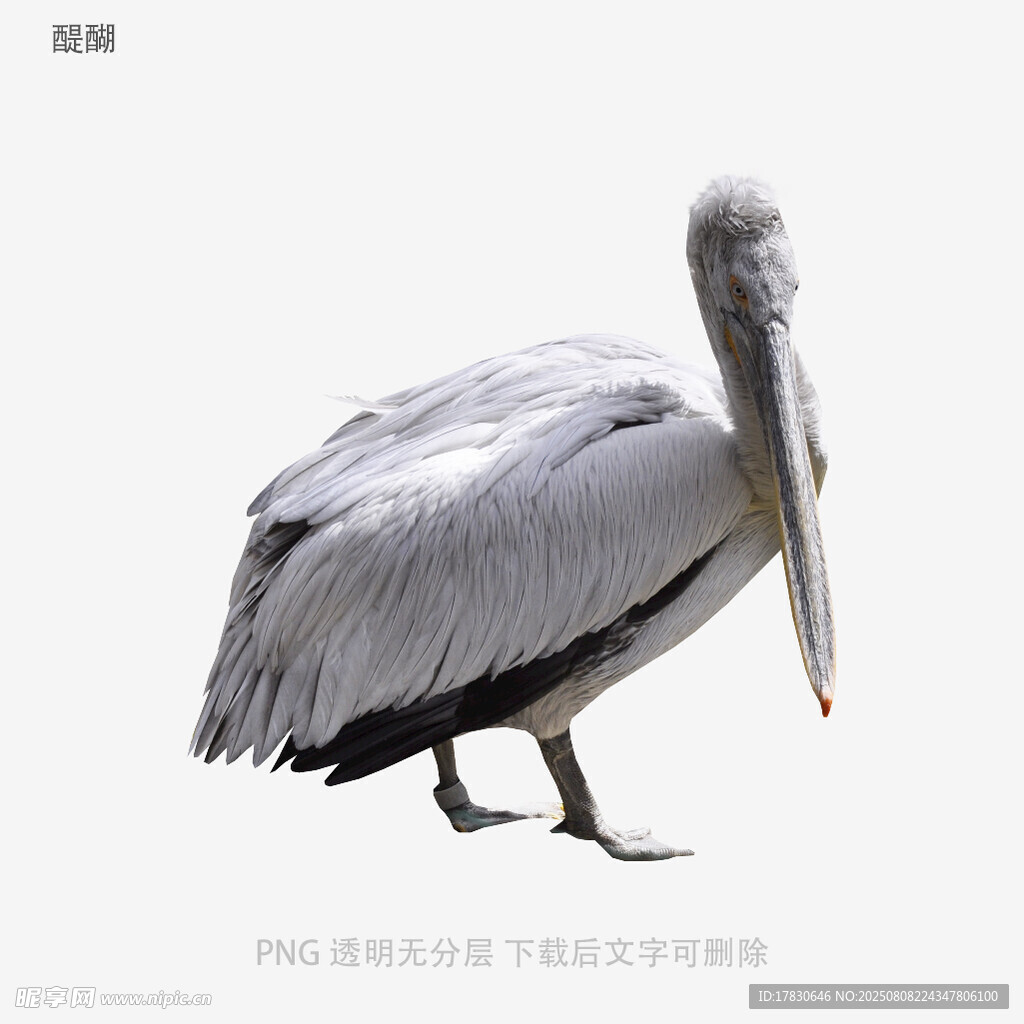 醍醐